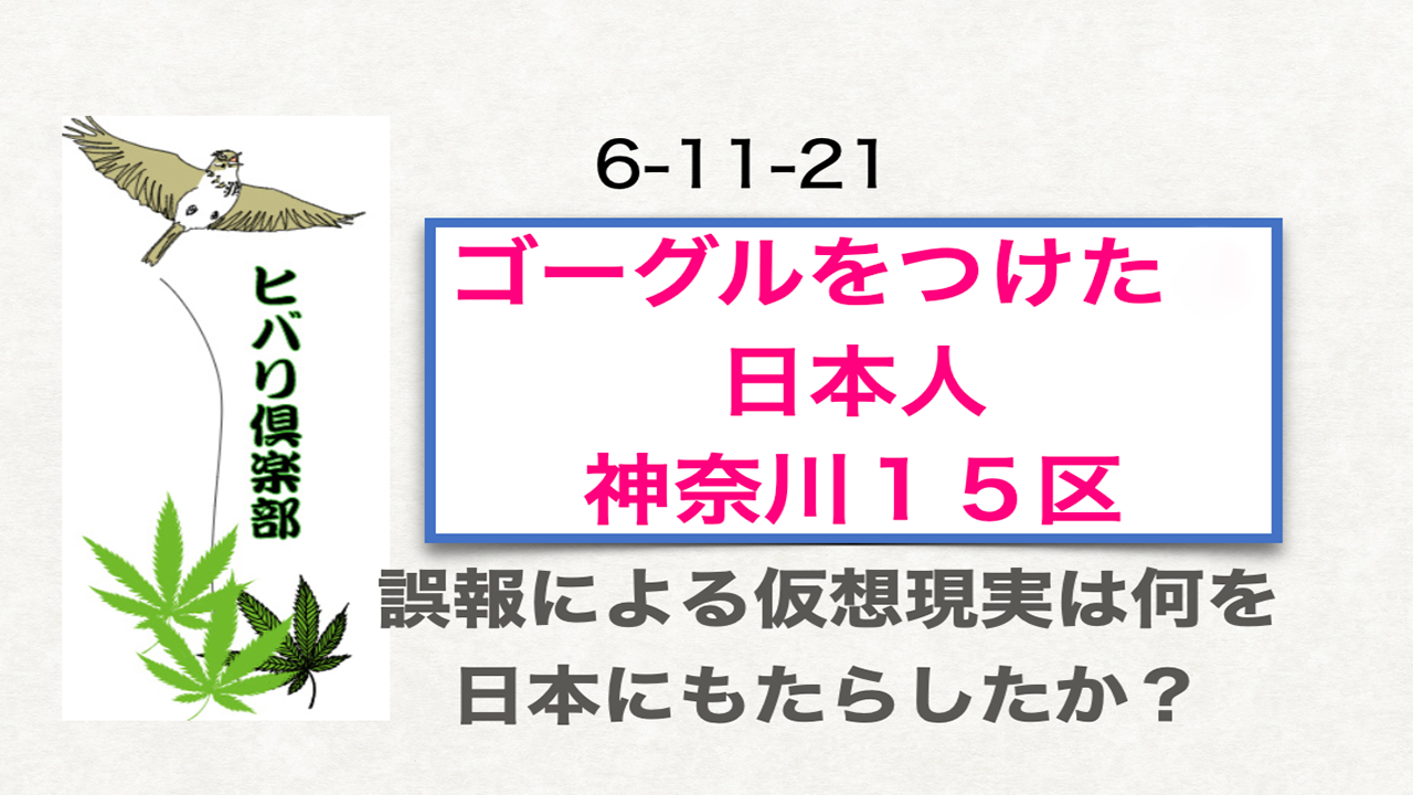 ゴーグルをつけた日本人「神奈川15区」