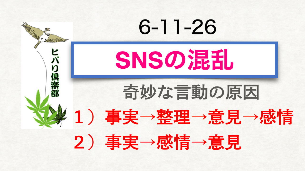 「SNSの混乱」