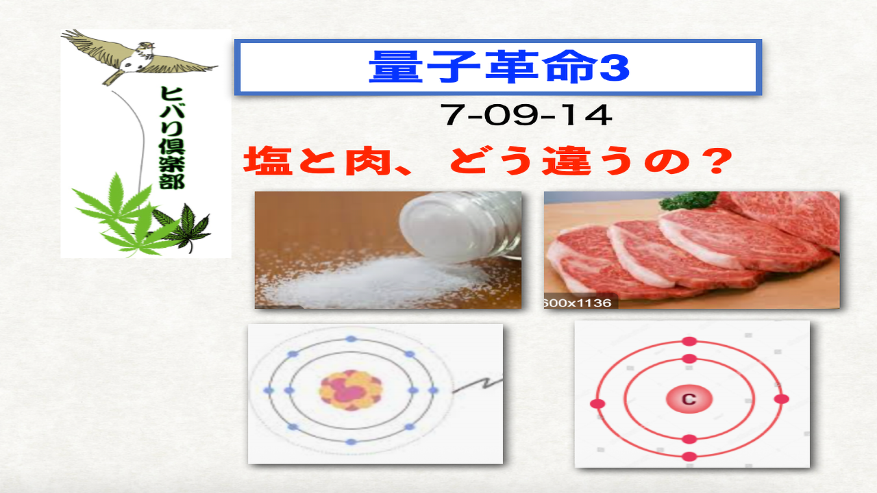 量子革命（3）「塩と肉、どう違うの？」