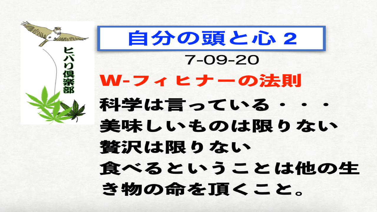 自分の頭と心（2）「W-フィヒナーの法則」