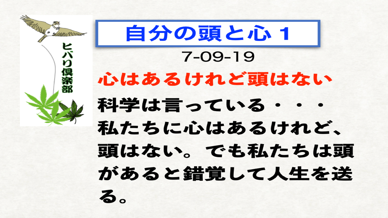 自分の頭と心（1）「心はあるけれど頭はない」