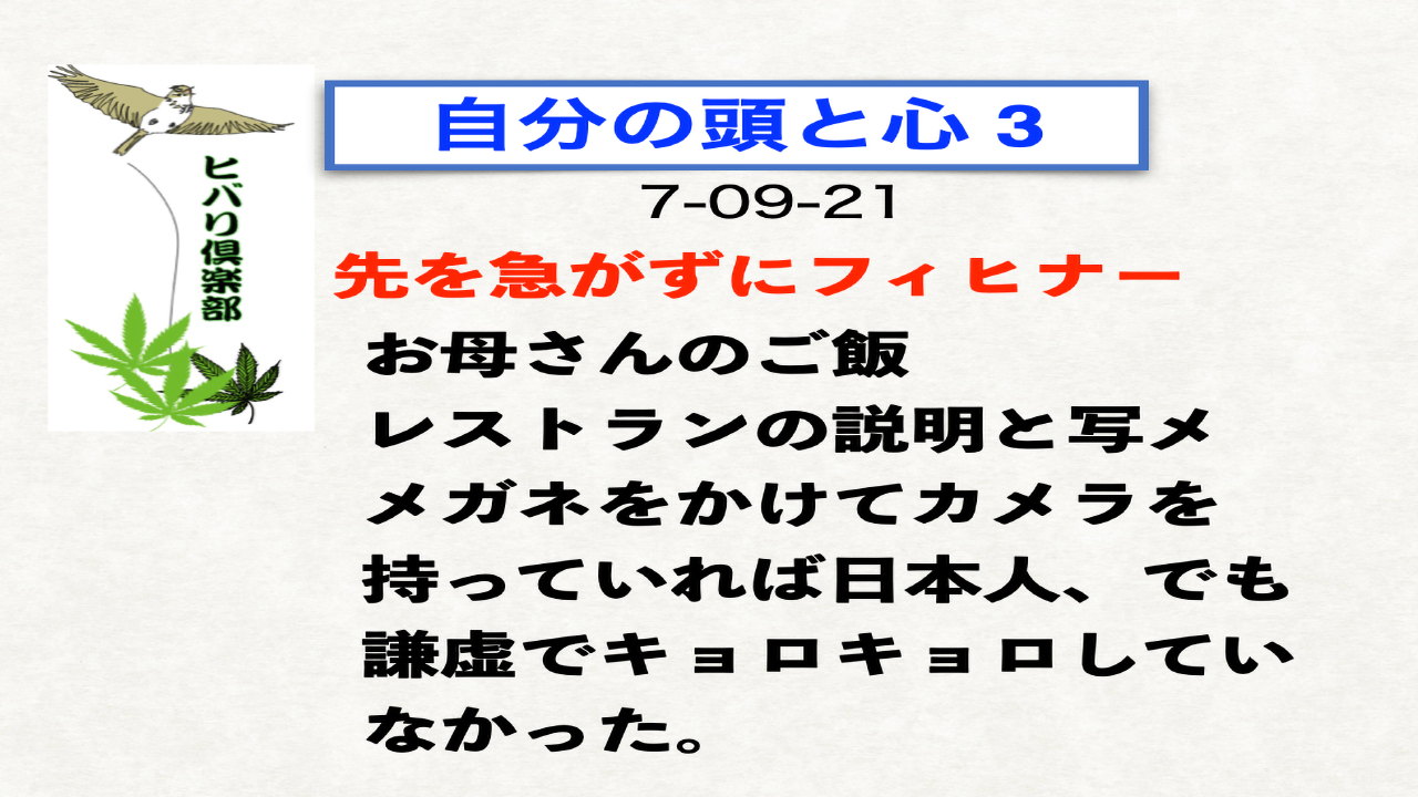 自分の頭と心（3）「先を急がずにフィヒナー」