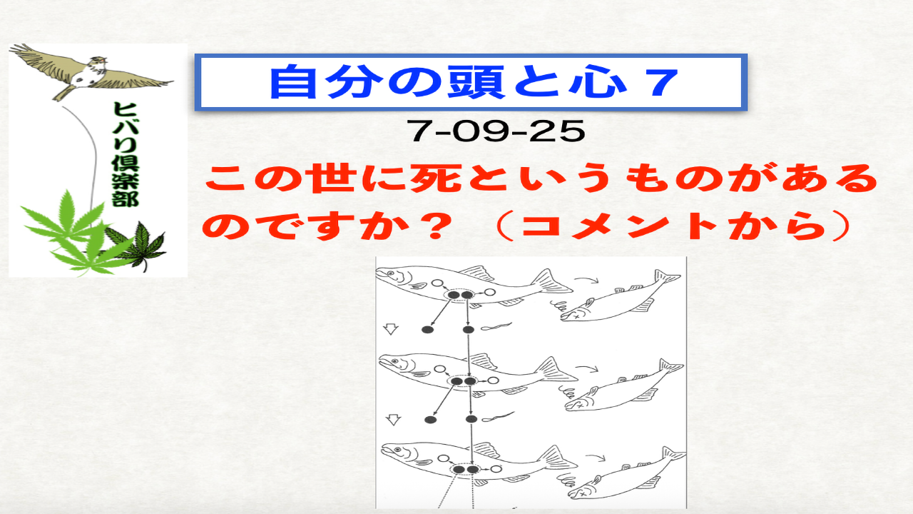 自分の頭と心（7）「この世に死というものがあるのですか？」
