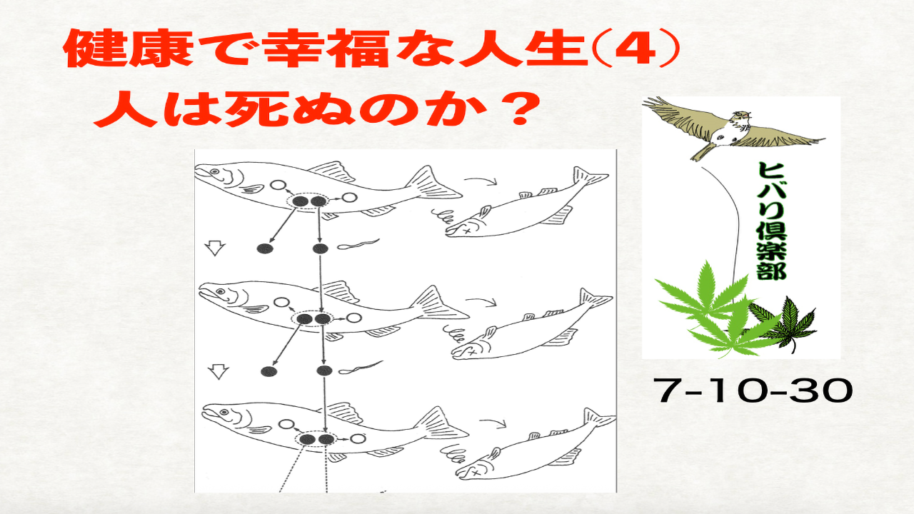 健康で幸福な人生（4）「人は死ぬのか？」