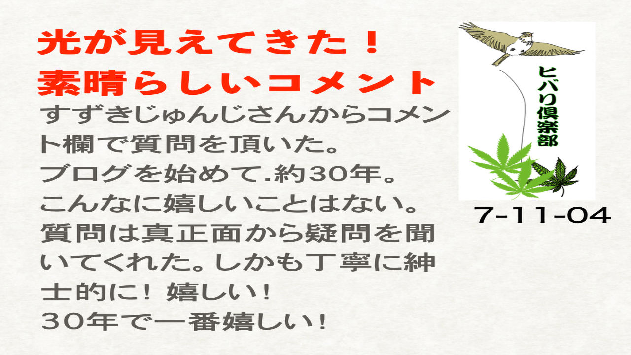 光が見えてきた！（3）「素晴らしいコメント」