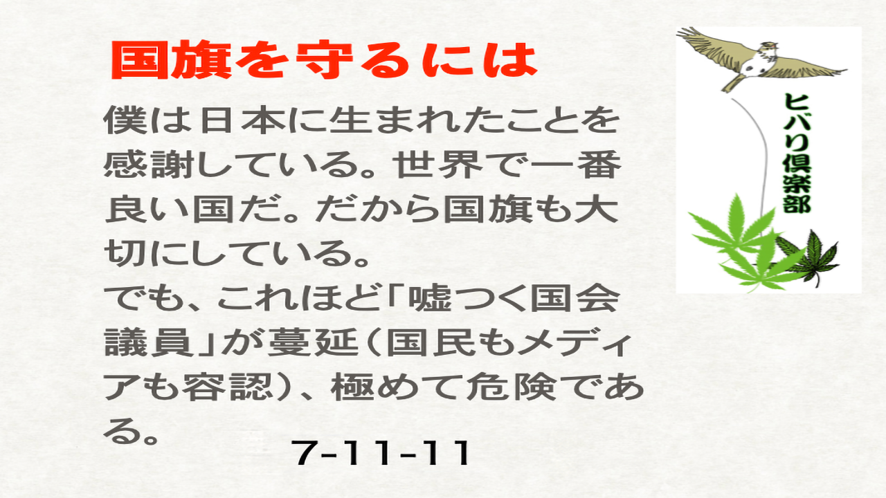 「国旗を守るには」
