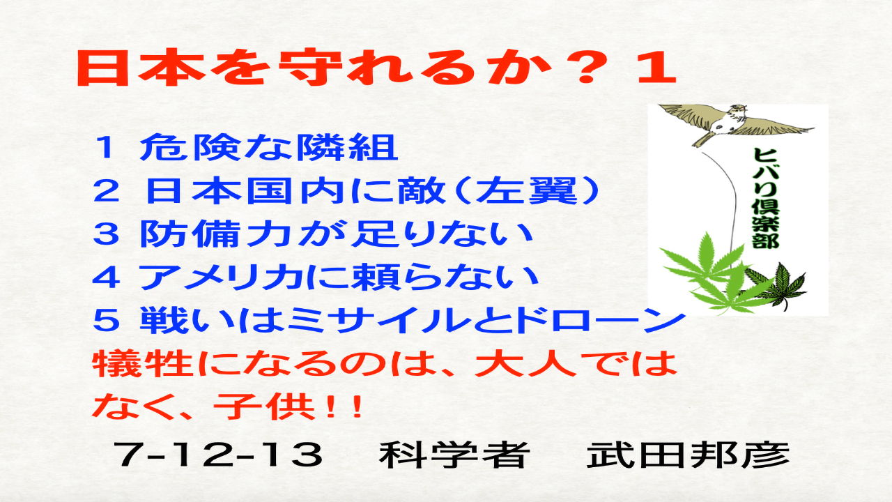 日本を守れるか？（1）「犠牲になるのは大人ではなく子ども」
