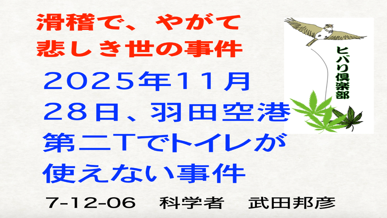 滑稽で、やがて悲しき世の事件「羽田空港第二ターミナルでトイレが使えない事件」