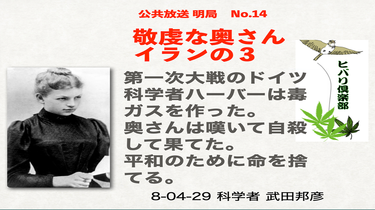 公共放送（14）「敬虔な奥さん：イラン（3）」